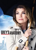 Anatomía de Grey Temporada 14
