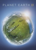 Planeta Tierra II 1×04