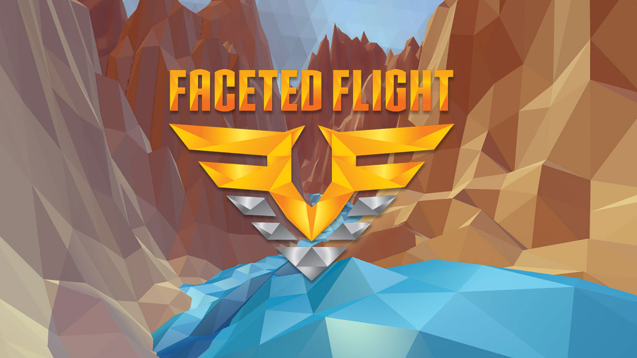 Faceted Flight VR