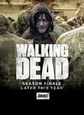The Walking Dead Temporada 11