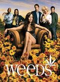Weeds Temporada 2
