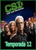 CSI Las Vegas 12×01 al 12×22