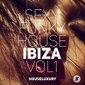 Sexy Funky House Grooves Vol.3