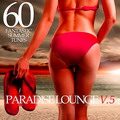 Paradise Lounge V.5: 60 Fantastic Summer Tunes